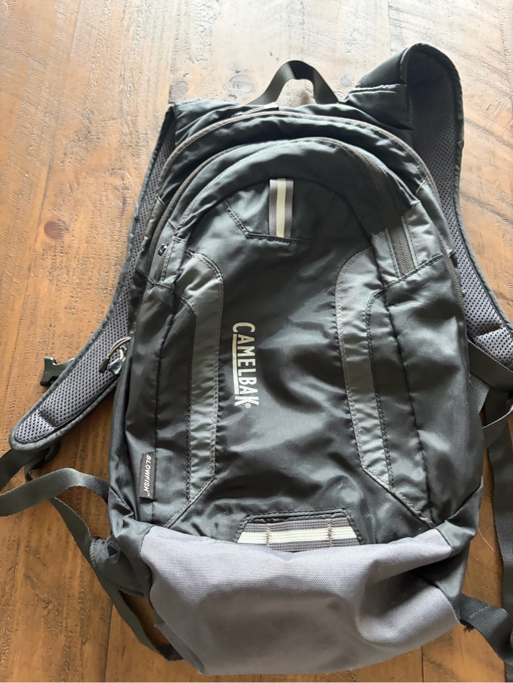 CamelBak Black and Gray Hydration Backpack